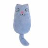 Pet Cat Cute Tail Soft Plush Toy Bite Resistant Mint Interactive Toys
