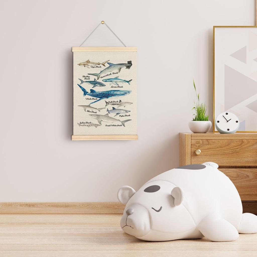 Qvapt Sea Animals Shark Posters - Shark Faces Wall Art Print, Sea Life Poster, Educational Poster for Kid Room Classroom Decor, Posters 12x16 with