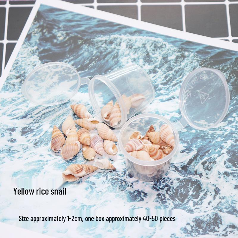 Seashell Conch UV Epoxy Craft Encapsulation Kit