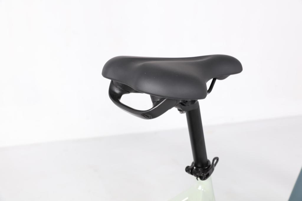 JOBOBIKE ROMER Elektrofahrrad, 250-W-Motor, leiser Motor, 48-V-15-Ah-Akku, Vorderradfederung für ein komfortables Fahrgefühl