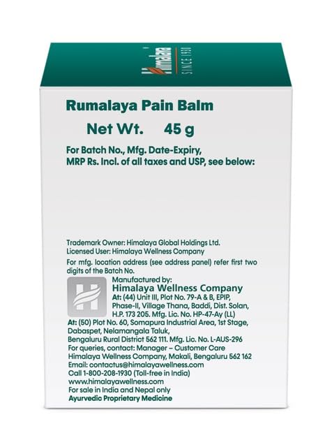 Himalaya Rumalaya Pain Balm 45 g Fast Relief From Headache And Neck Pain Ayurvedic Pack Of 2 For Daily Use