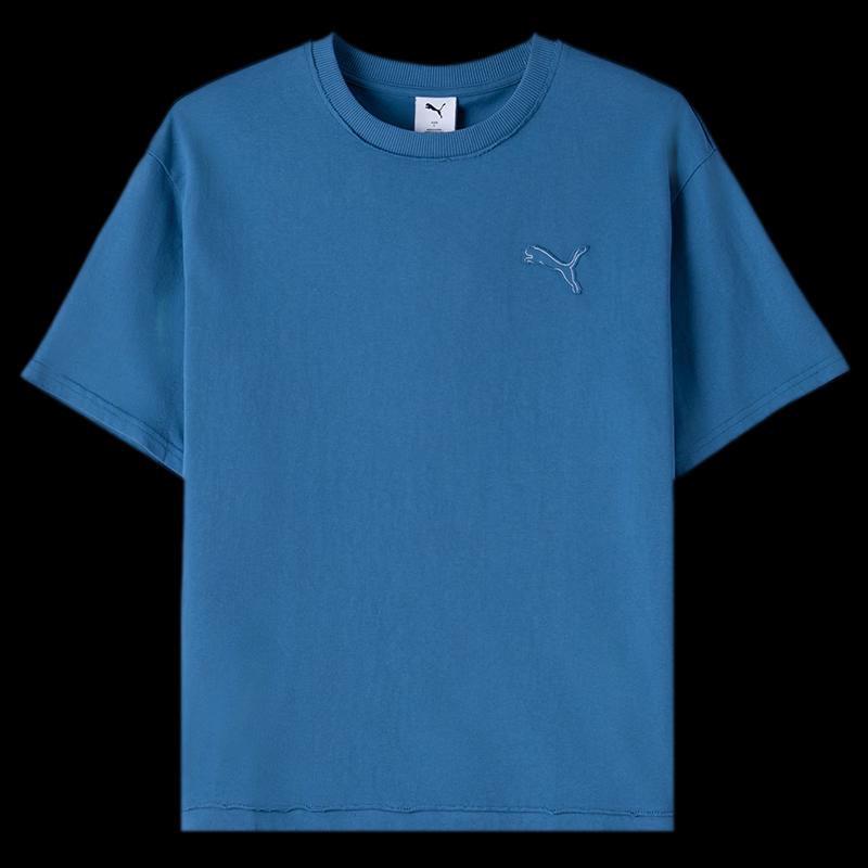 PUMA Men's Summer Sport T-shirt 638468-49