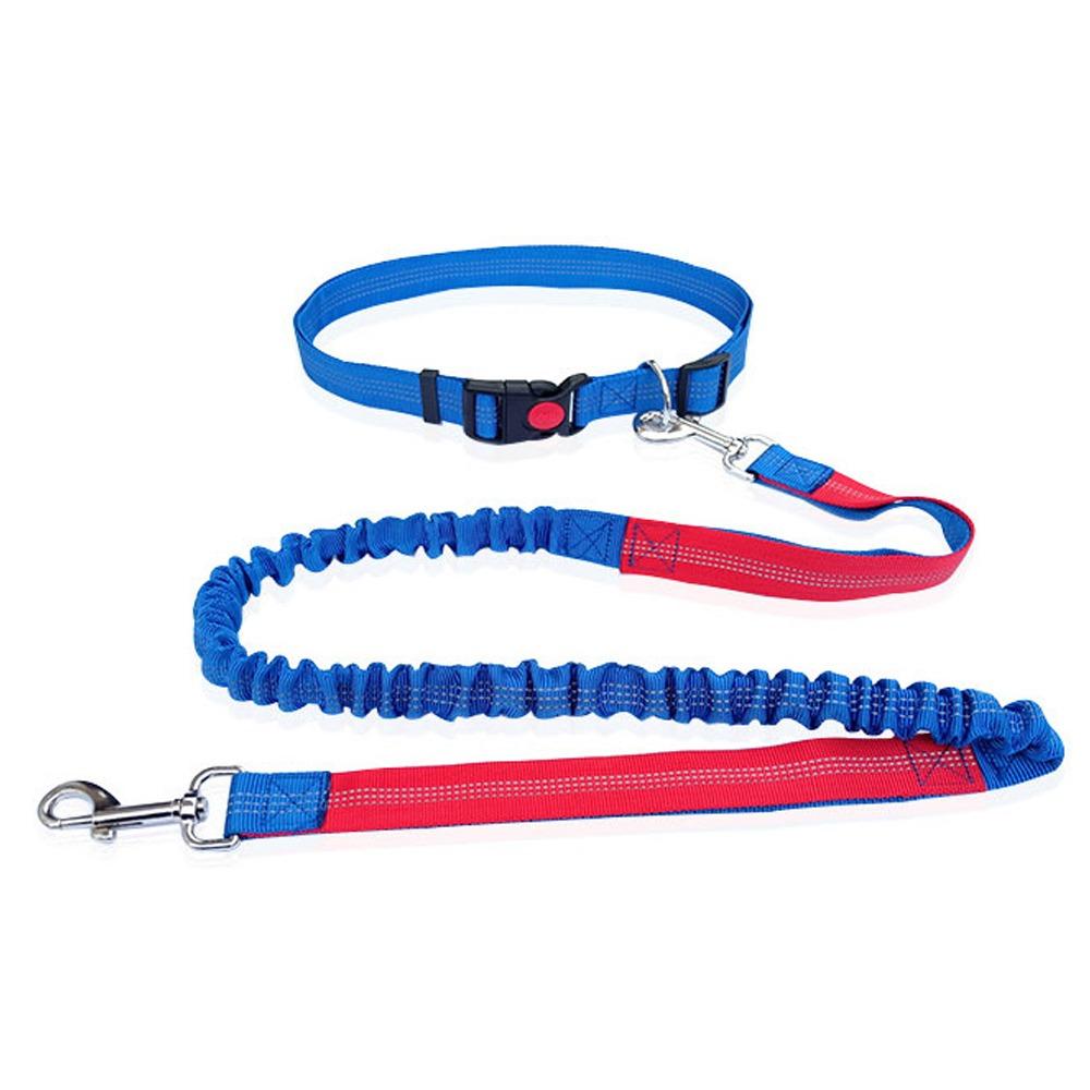 Double Stretch Running Dog Leash Reflective Dog Traction Rope Pet Walking Leash  for Dogs Cats
