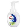 Walch Foaming Antibacterial Hand Wash