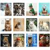 Peed-Off Cat Wall Calendar 2026 Funny Cat Meme Monthly Hanging Format  Home Office Decor New Year Gift 12 Monthly Family Planner
