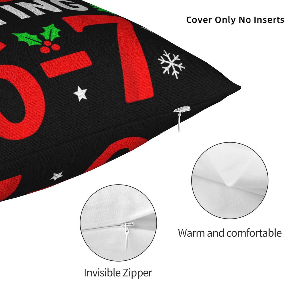 Dear Santa 67 Funny Christmas Pillow Case  Graphic Pillow Cover For Sofa Couch Bed Living Room Vintage Pillowcases