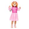 Paw Patrol Girls Skye Costume