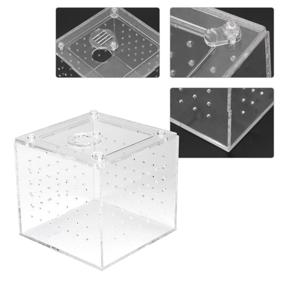 1Pc Reptile Terrarium Feeder Snakes Spider Lizard Breeding Acrylic Box Case Insects House