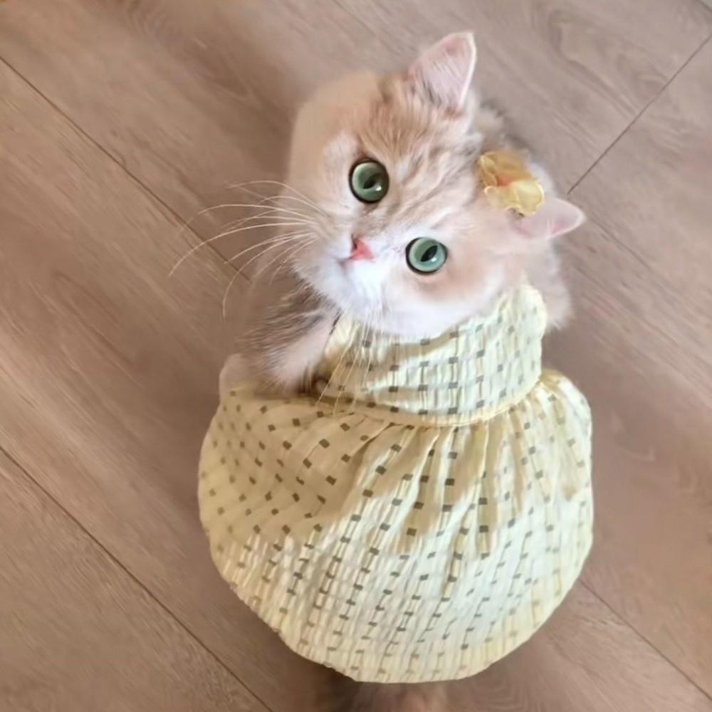 Sweet Cat Princess Skirt Soft Puppy Dresses Fashion Dog Plaid Dress  Spring Summer