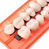 28PcsSet Resin Teeth Model Durable Dentures Universal Resi False Teeth