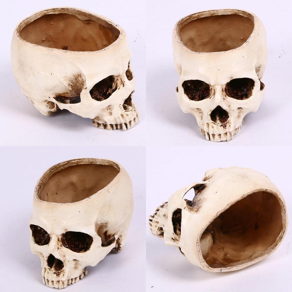 Premium Resin Human Skull Head Design Flower Pot Planter For Unique Home Decor