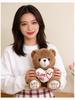 Cartoon Hugging Bear Plush Toy Sleeping Pillow - Gift Claw Machine Cloth Doll