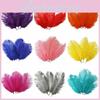 Luxurious Natural Ostrich Feathers 12-14 Inches For Elegant Party Table Decor