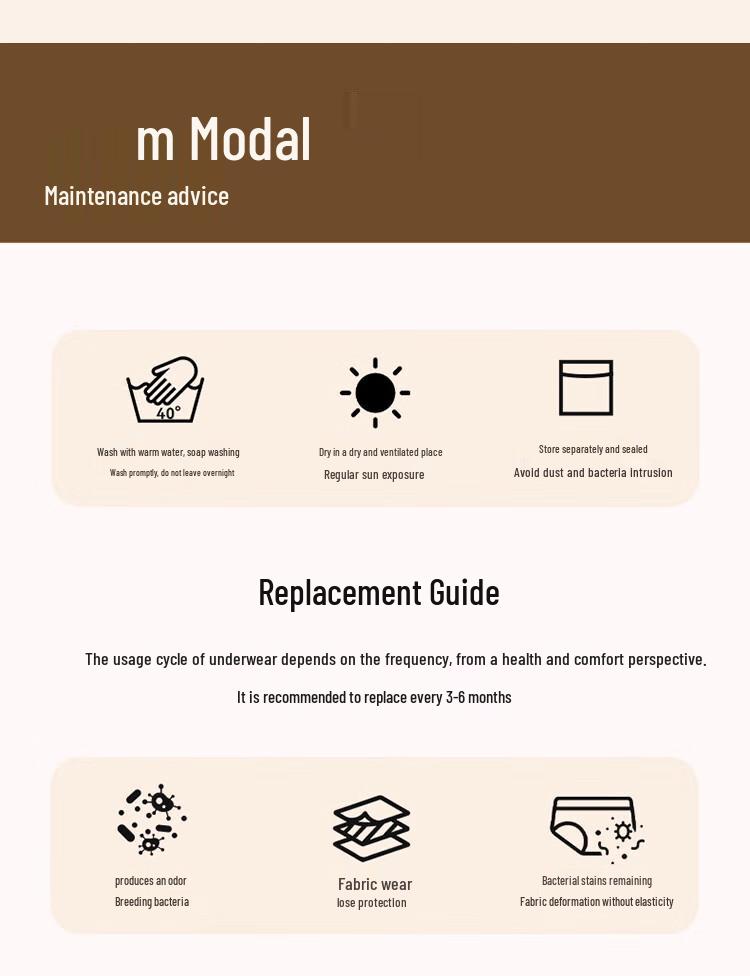 Women's Seamless Modal Briefs (2-Pack)