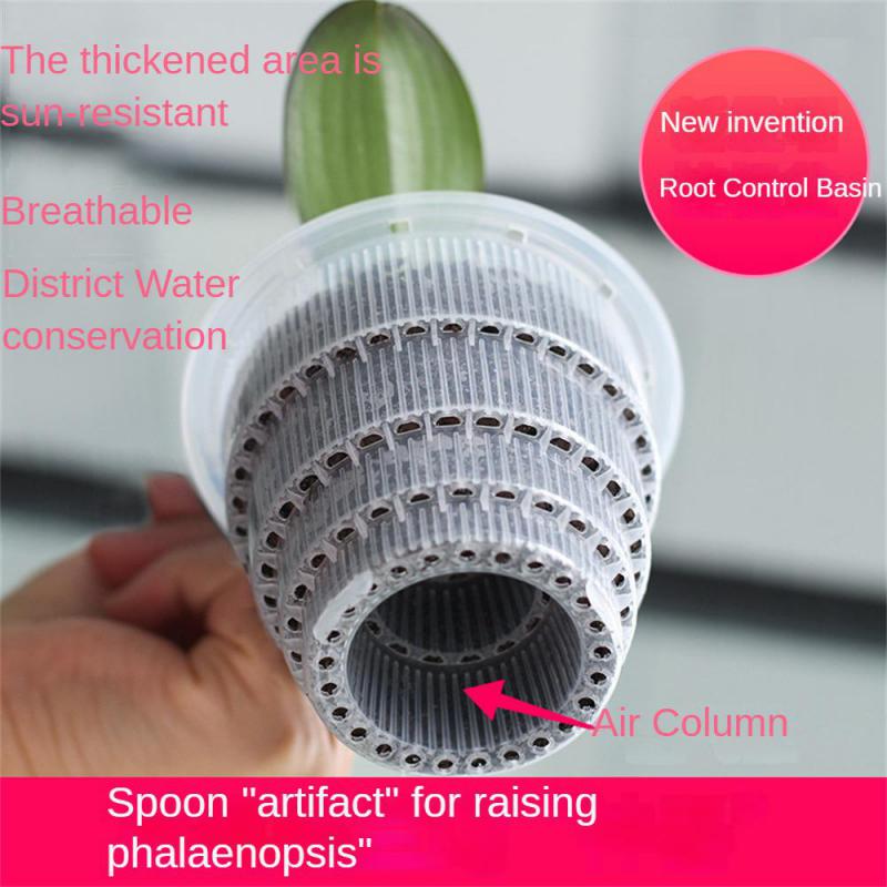 Maceta de malla de plástico transparente para orquídeas, maceta para decoración del hogar, jardinería, balcones, plantas suculentas