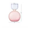 Nordic Modern Simple High Sensitivity Colorful Glass Tabletop Vase Elegant Flowers Water Cultivation Vases for Home Living Room