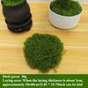 30g Model Material Sand Table Tree Powder Sponge Shrub Unity Block Model Low Shrub Dark Green Scene