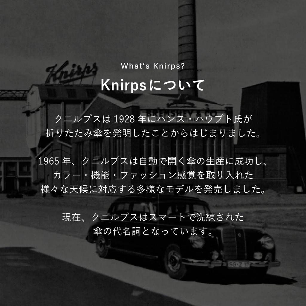 Knirps Cubes Ice Medium Duomatic Safety Folding Umbrella 5 Year Warranty T.220 [Official Import] KNTL220-8669