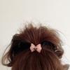 High Horsetail Hair Rope Hair Rubber Bands Sweet Hair Ties Women Hair Bands Flower Scrunchies
