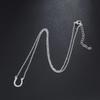 European-American U-Shaped Lucky Necklace: Alloy Horseshoe Pendant for Women