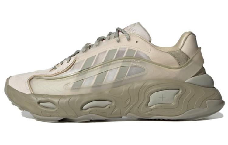 Adidas Oznova  Bliss Feather Grey  GW9745 36