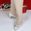 2025 New Spring Shallow Mouth Flat Sole Shoes Women's Fashion Versatile Spring and Autumn Thick Heel High Heel Single Shoes