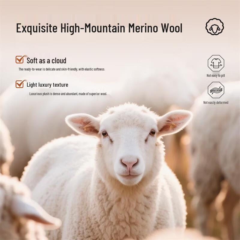 Withwolf Men's 7A Antibacterial Tech Warming Merino Wool Sweater