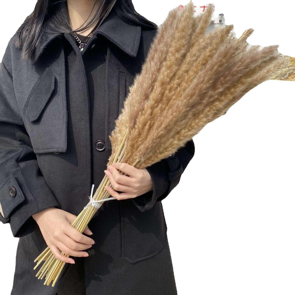 Preserved Small Dried Reed Rabbit Tail Flower Bouquet