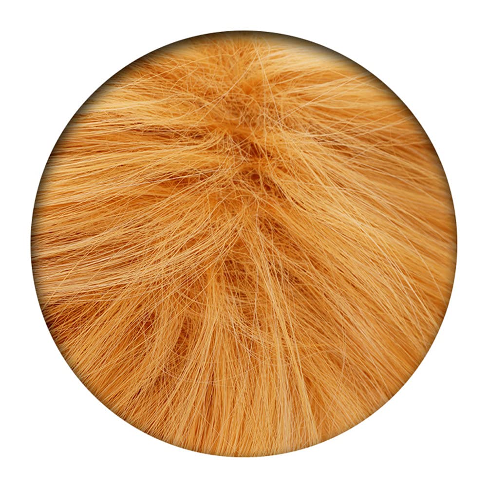 Eileen My Hero Academia Kaminari Denki Wig, Heat-Resistant, Disguise Wig, Anime Wig, School Festival Wig, Includes Net