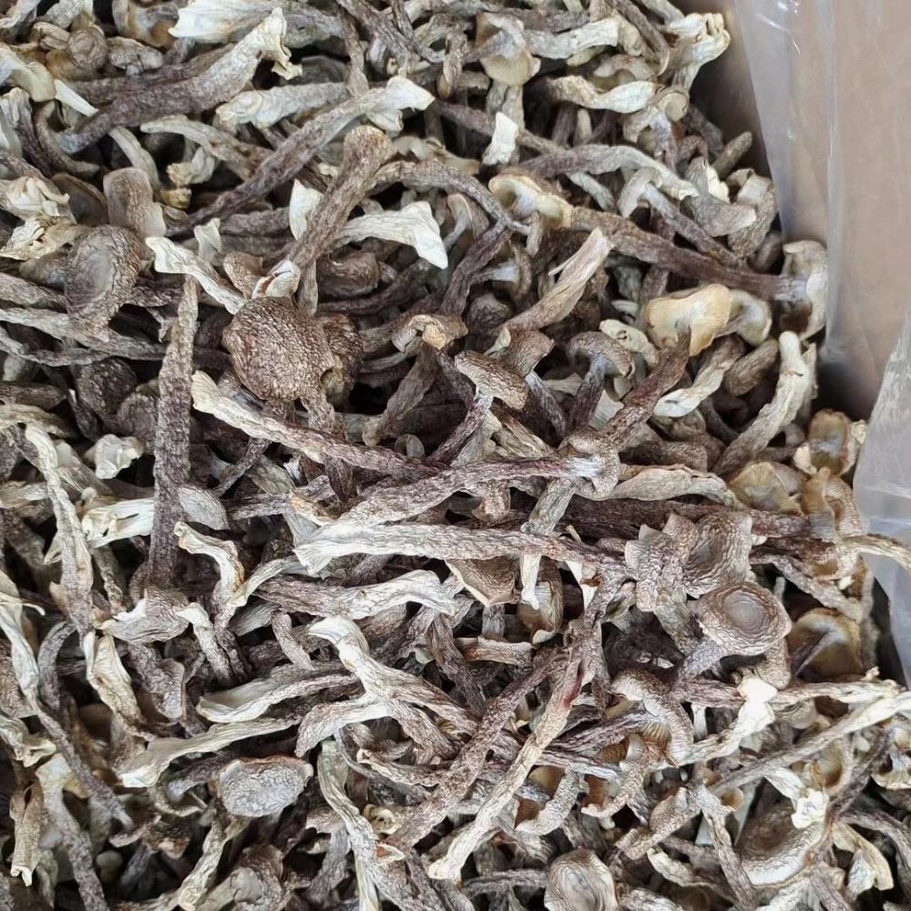 250g Premium Dried Velvet Mushroom Wild Edible Fungi Forest Superfood
