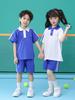Shenzhen School Uniform Set: Quick-Dry, Antibacterial, Odor-Resistant Shorts, Pants, and T-Shirt
