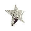 Hairpin Five-Pointed Star Shape Hair Clip Exaggerated Metal Texture Side Bang Hair Pin Fade-Resistant Hair Accessory
