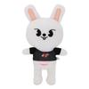 Skzoo Plyšové hračky 20cm Stray Kids Plyšový Vlk Chan Kreslená Plněná Zvířátka Plyšové Panenky Roztomilý Společník pro Děti Dospělé Fandy Dárek