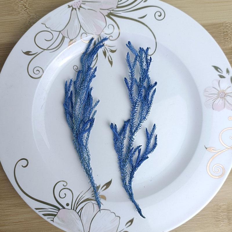 Blue Series Dried Flower DIY Kit: Hydrangea, Thousand-Layer Gold, Eucalyptus Leaf Souvenir Decoration