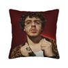 Pillow Case Singer Jack Harlow Soft Pillow Cover For Sofa Car Home Decor Kawaii Pillowcases