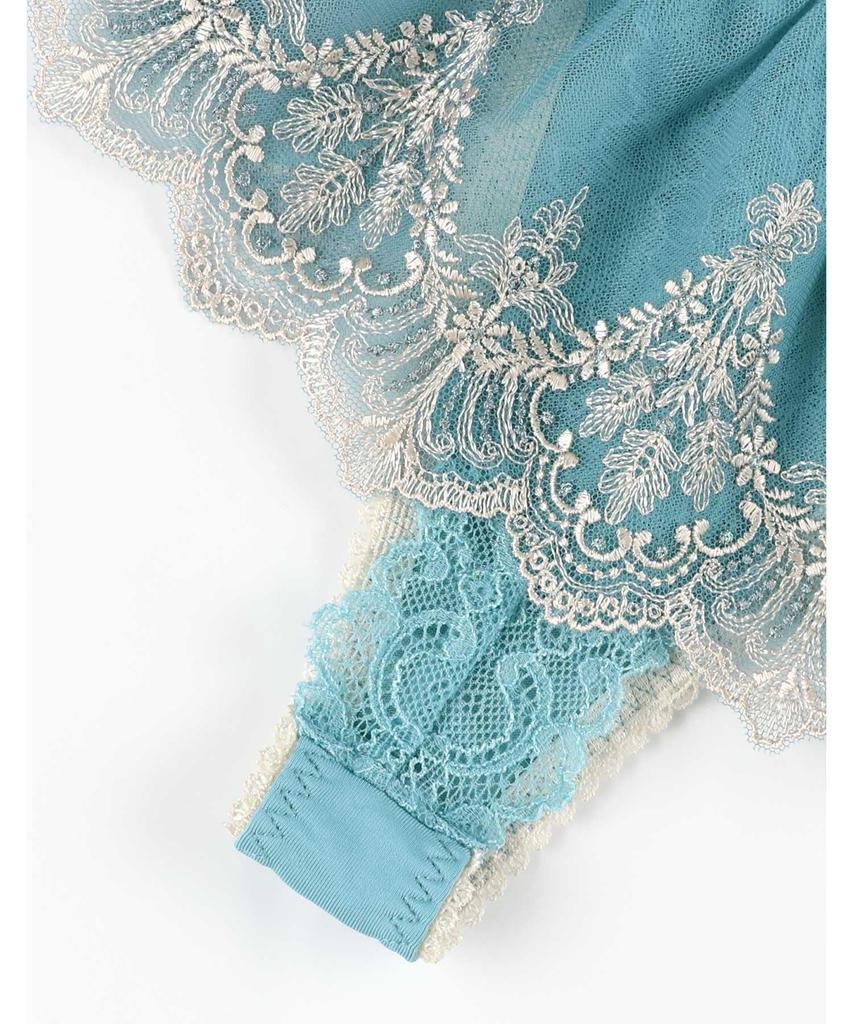 Amphi Thong Panties Pair with Hold Day Bra Women's PYJ593, BYJ393, Non-Pinch (Back)