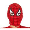 Fiestas Guirca Boys Superhero Costume Set