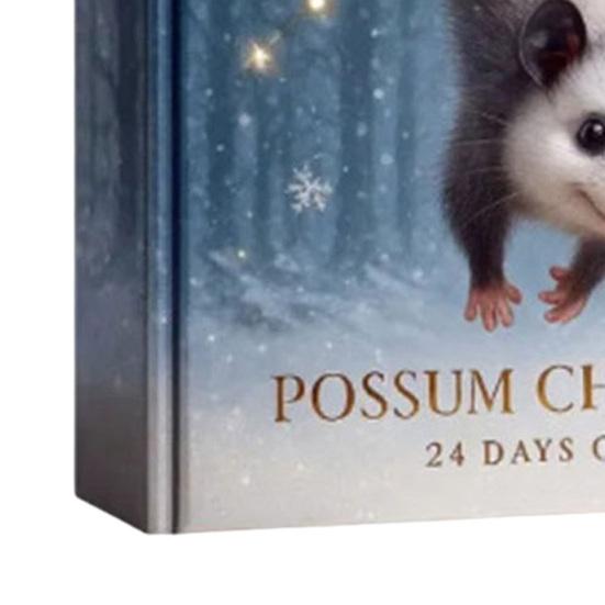 Possum Christmas Advent Calendar 24 Days of Joy Acrylic Ornament for Tree Decor Festive Countdown Box for Kids & Animal Lovers
