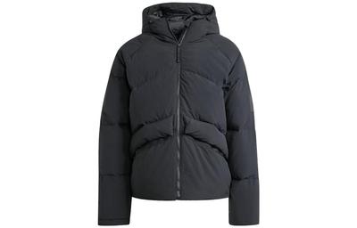 Hooded Padded Jacket IK3156
