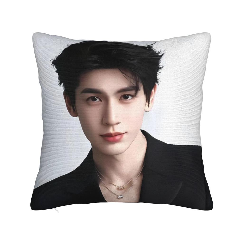 Zhang Linghe Pillowcases Kawaii Pillow Case For Living Room Sofa Custom Pillow Cover