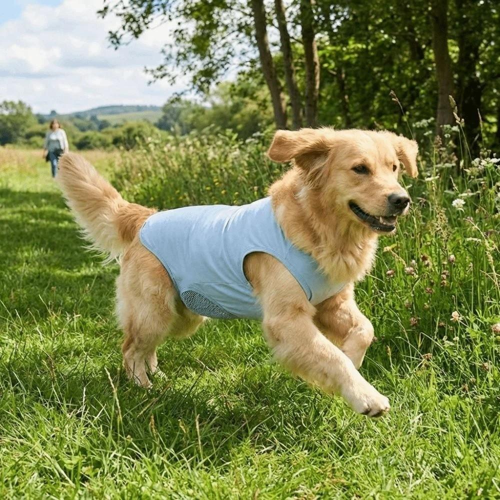 Breathable Cat Recovery Suit Soft Pet Anti-Lick Cloth Pet Sterilization Suit  Spayed/Neutered