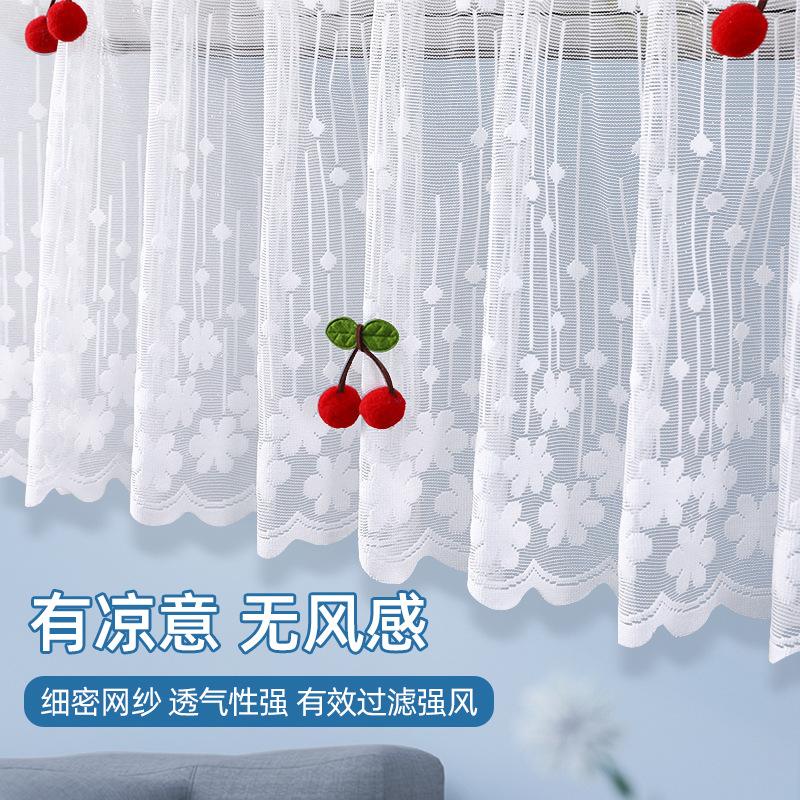 Lace Embroidery Flower Curtain Windproof Dust-Proof Hanging Cover Anti-Direct Blowing Air Conditioning Curtain Bedroom Decor