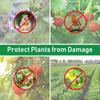 Thickened Agricultural Insect & Bird Proof Net for Greenhouses & Fruit Trees