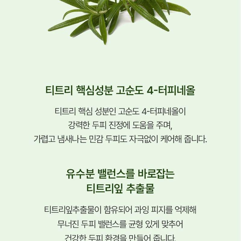 STEAMBASE - Tea Tree Scalp Healing Tonic