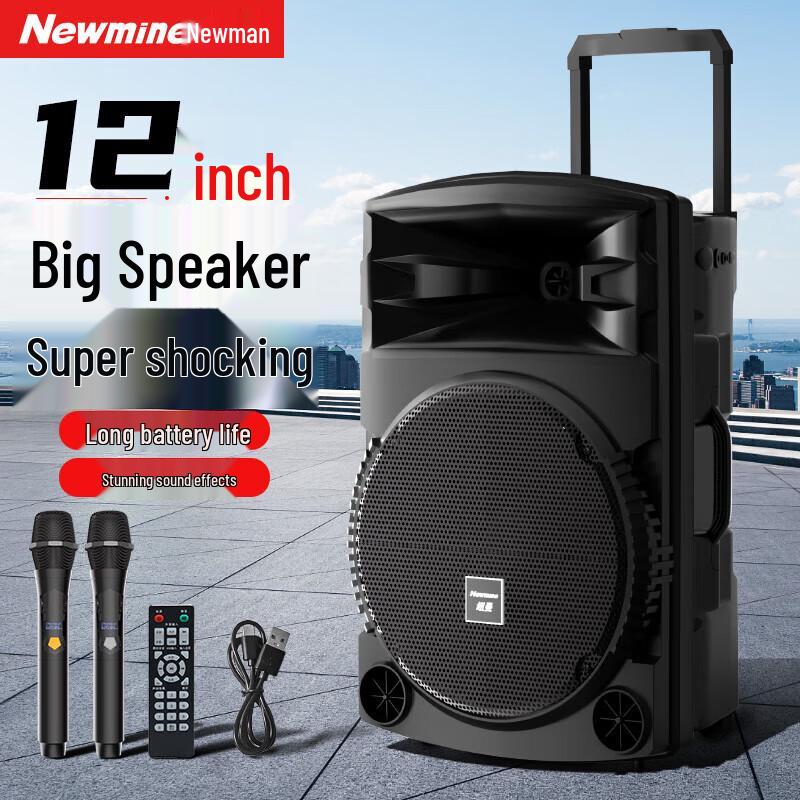 

Newman N521 Portable Bluetooth Trolley Speaker with Dual Mics