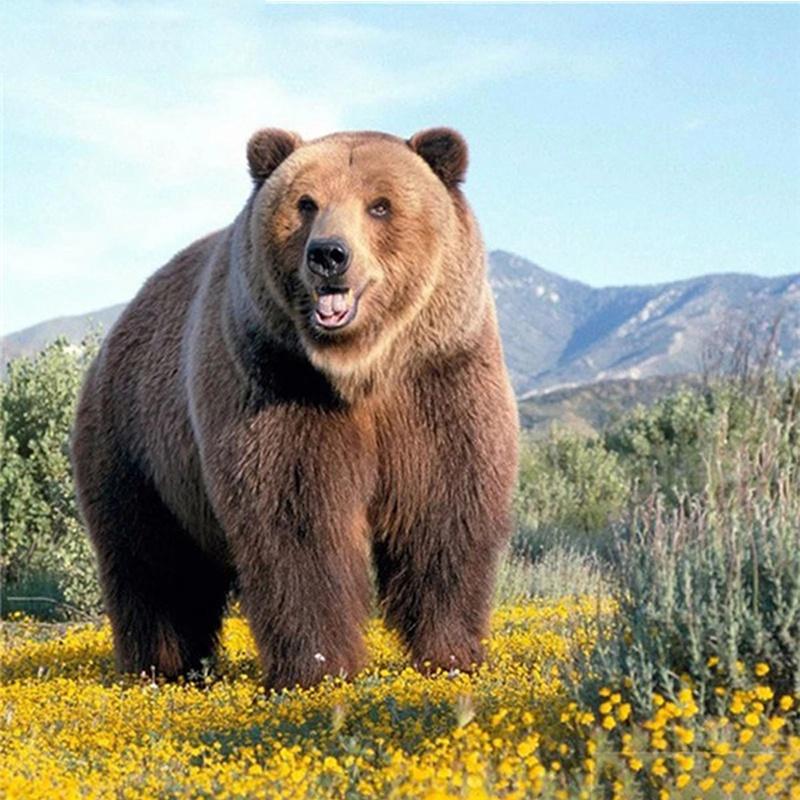 

Алмазная вышивка Медведь стиль Картина Вышивка крестом Рождественские Стразы Подарок Алмазная Мозаика