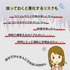 PHOENIX Glass Repair Stepping Stone Front Repair Kit Japanese Instruction