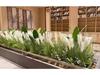 Nordic Reed & Foxtail Grass Artificial Office Plants Window Decor 