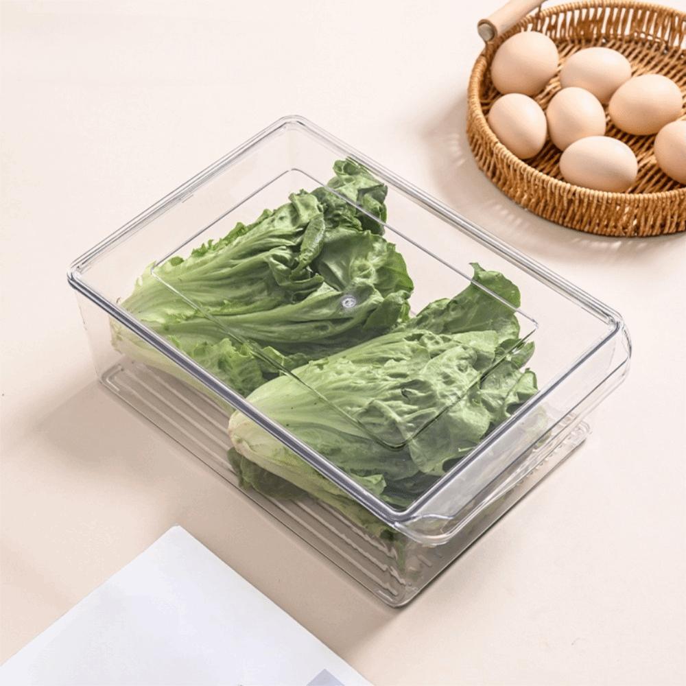 Transparent Dough Proofing Box Large Capacity Food Crisper Food Storage Box  Baking