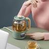 BEAR Mini Portable Health Pot Tea Maker CN Plug (adapter Included)